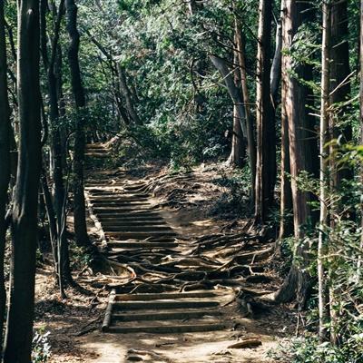 禁止吃泡面景区如此治污难服众