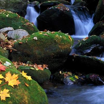 日本一新干线列车高速行驶途中两节车厢分离