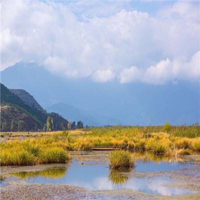 用实干澎湃振兴发展活力